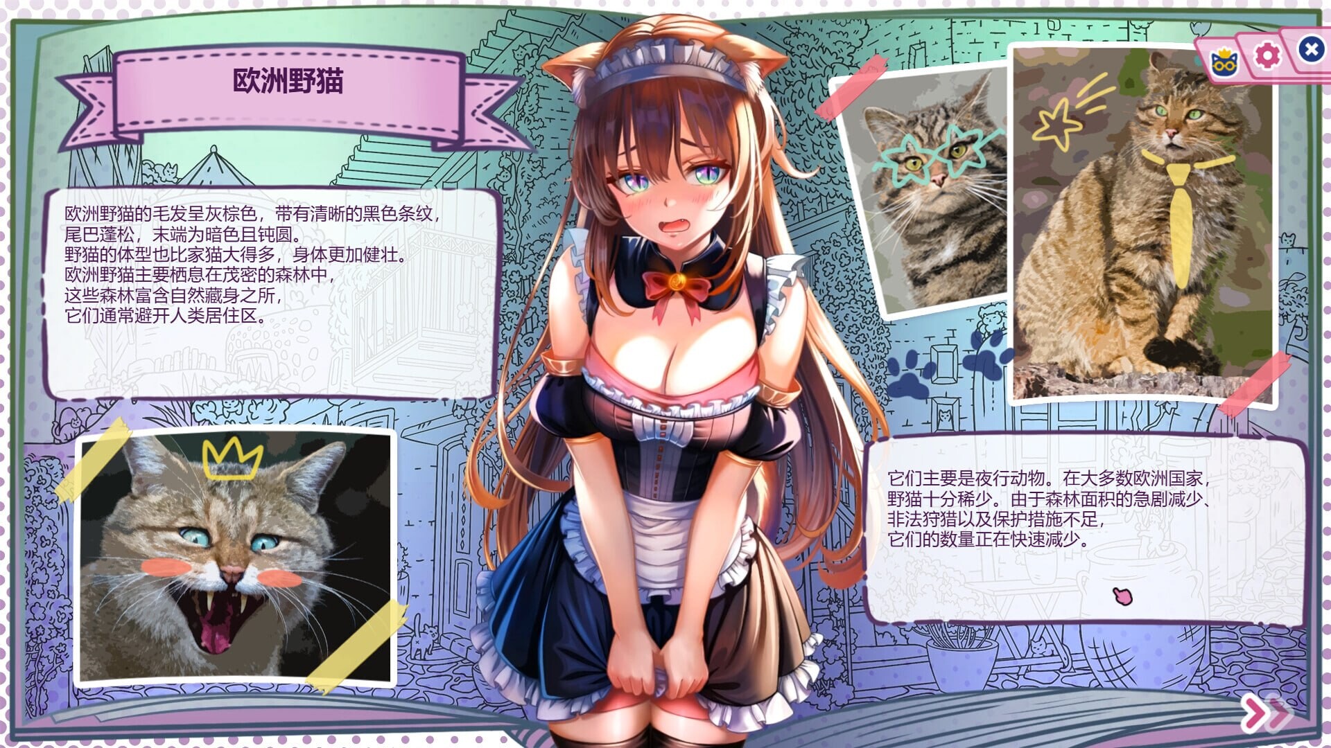 新作[日式SLG/兽耳/动态] 猫娘百科：寻找她的小尾巴 Nekopedia: Find Her Tail 官中步兵版+存档 [2.70G]