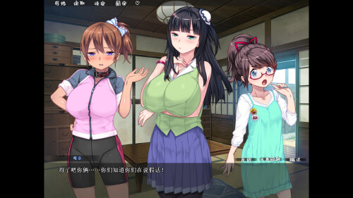 新作[日式ADV/调教后宫] 乱情小妹 Summer Days in the Joyful Countryside 官中步兵 [1.06G]