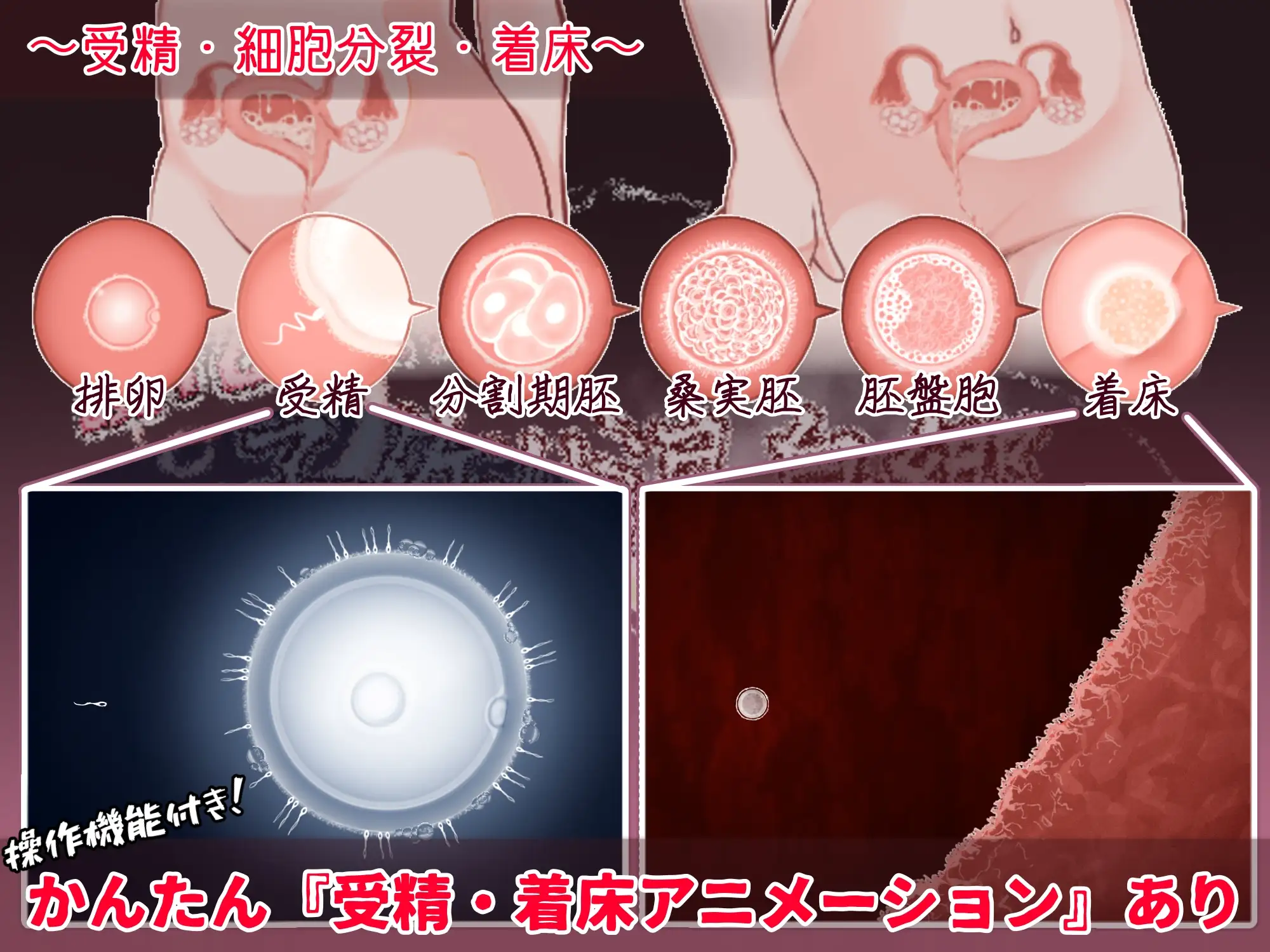 更新[日式RPG/西瓜肚/动态] 欢迎来到！孕育温泉乡 おいでませ！子作り温泉郷 V1.10 AI汉化版+全回想存档 [810M]