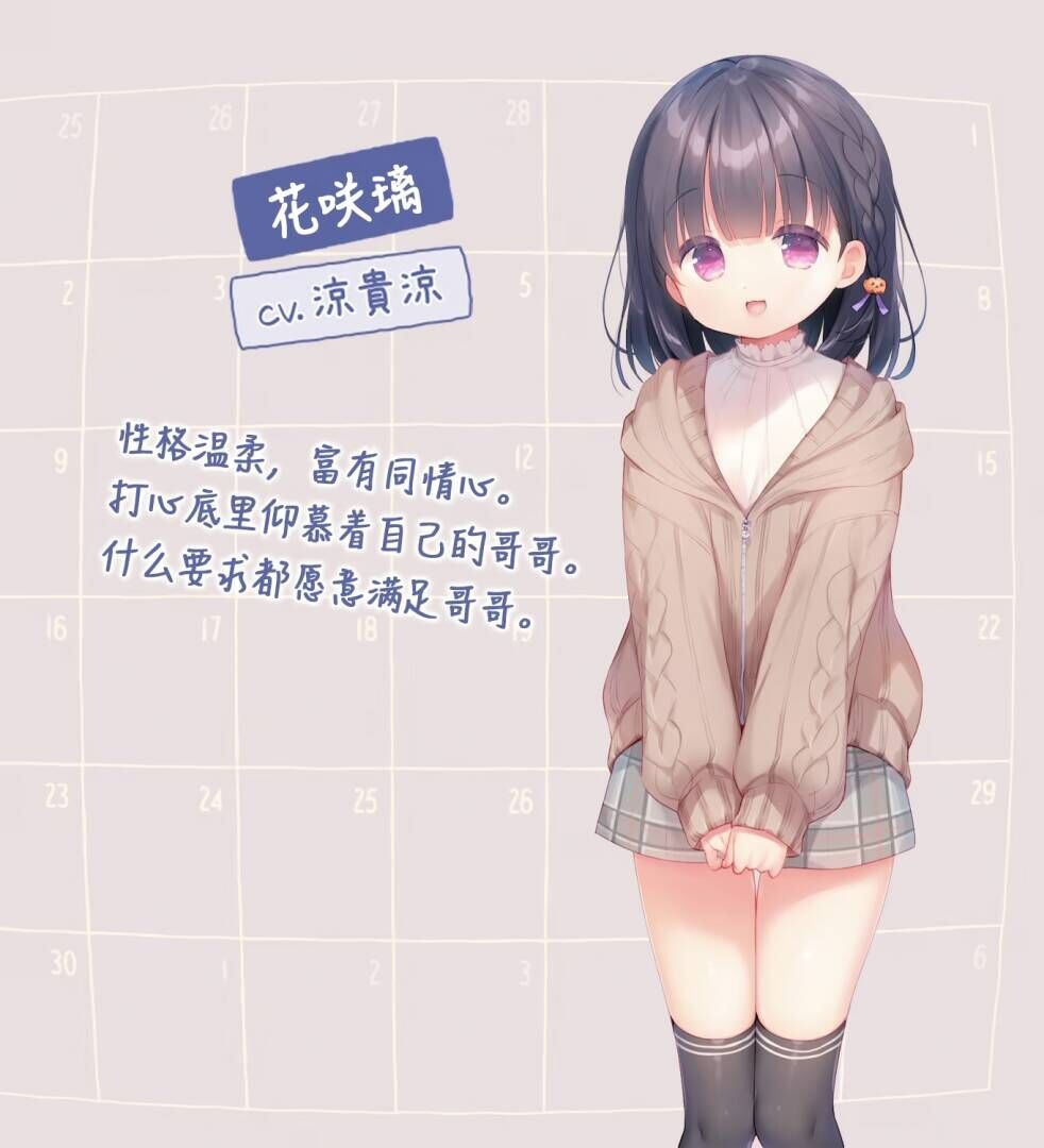 新作[互动ADV/同居生活] 每日亲亲洛丽塔 毎日キスしてロリータ  官中步兵版 [PC+安卓3.10G]