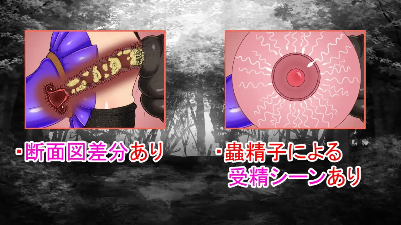 [日式RPG/NTR恶堕/异种X] NTRRPG外传～虫奸之书～ NTRRPG外伝～蟲姦の書～ v1.1 官中版 [430M]